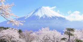 第16回国内観光活性化フォーラムinやまなし
